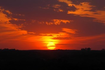 Obituary of Werner Baumgartner