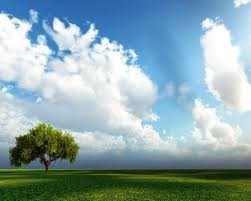 Obituary of Hilda Brown Hubert