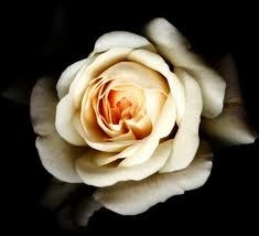 Obituario de Betty Norman