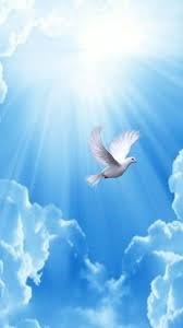 Obituary of Barbara Anne Berger