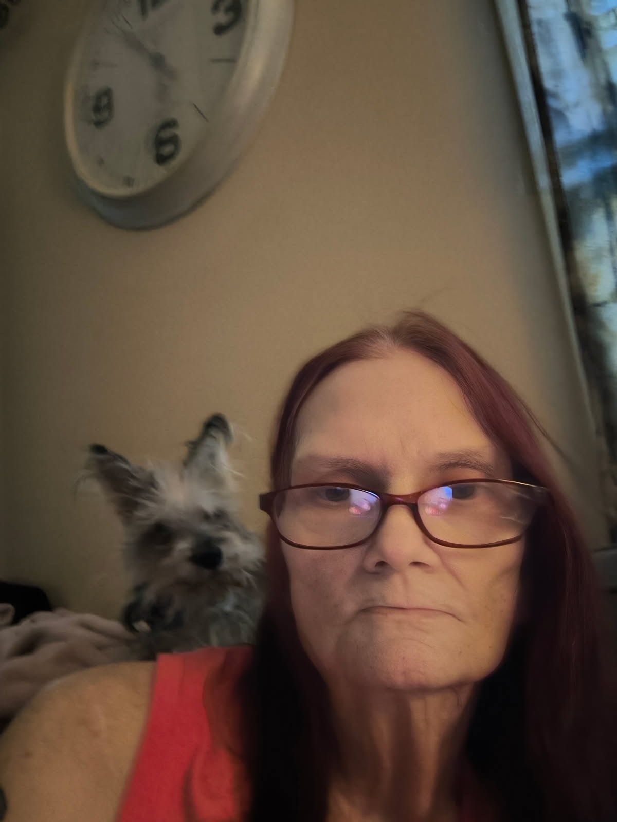 Obituary of Kathleen Michele Marino