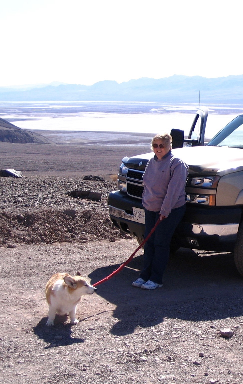 Obituary of Catherine "Cathy" Anne (Craig) Turner