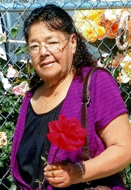 Obituary of Rebeca Medina