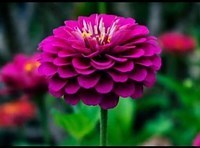 Obituary of Eileen Marie Bennett