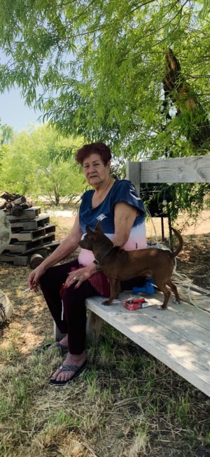 Obituary of Rosa Suarez  Contreras