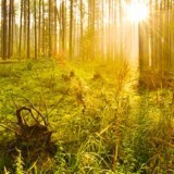 Obituary of Kim Homer Pitts