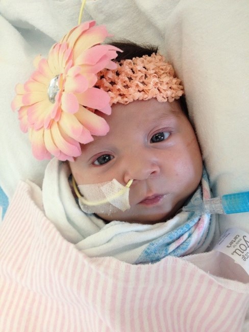 Obituary of Katherine Alexis Villa