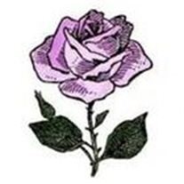 Obituary of Susan Robinson Reed