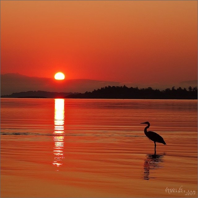 Obituary of Christopher Scott HEWITT