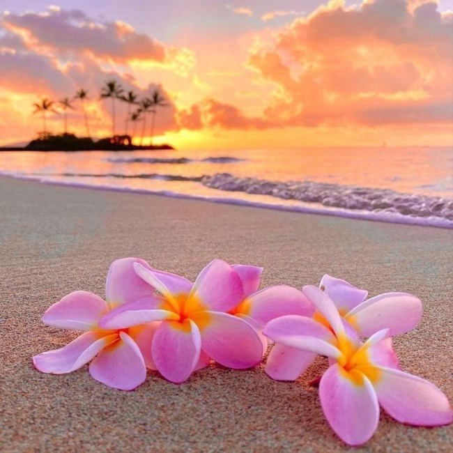 Obituary of Lillian V. Brodhead