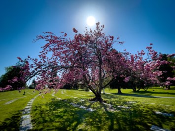 Obituary of Betty Margaret Bostrom