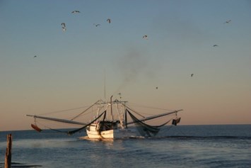 Obituary of William Bert Bert Lance