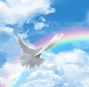 Obituary of Naomi Rose (Eicher) Graber