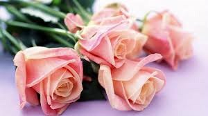 Obituary of Arline Ruthberg