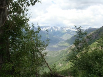 Obituary of Patricia Ann Kilgore