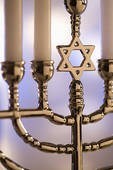 Obituary of Faith Saltz Cohen