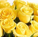 Avis de décès de Marcia J Morales Vda Viton