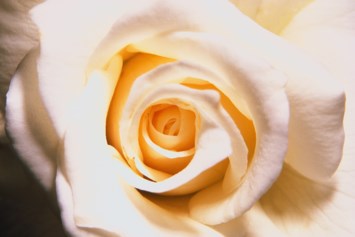 Obituary of Jacqueline C. Lyons