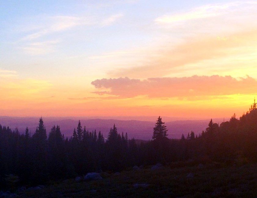 Obituary of Kenneth Cole