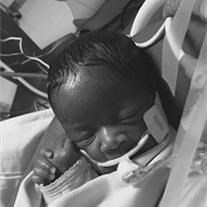 Obituary of Nalaya Ashton Woods