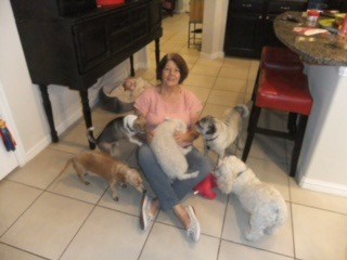 Obituary of Elizabeth Ann Moeller