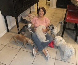 Obituary of Elizabeth Ann Moeller