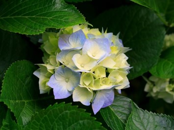 Obituary of Joan Elaine Bruns