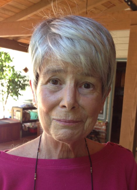 Obituary of Linda Lee Romov