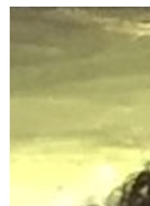 Barbara Williams Obituary Spokane Valley, WA