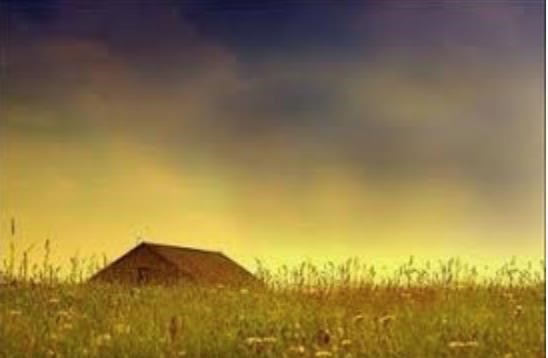 Obituary of Bruce F. Nelson