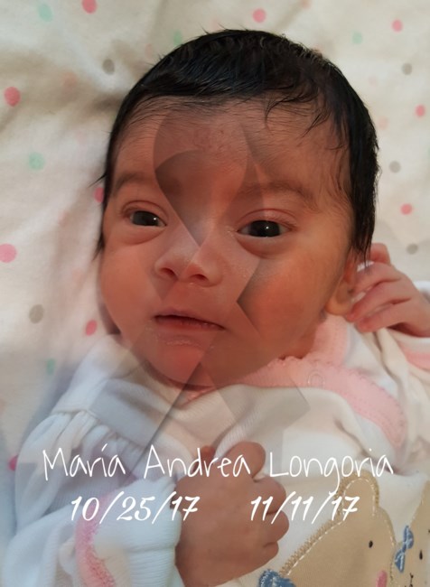 Obituary of Maria Andrea Longoria