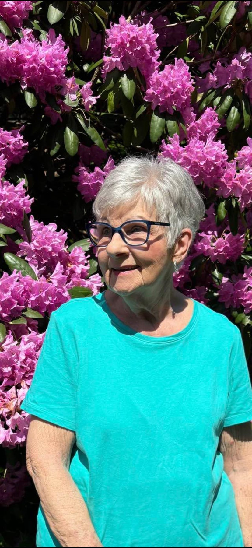 Avis de décès de Phyllis Clark Whisenant