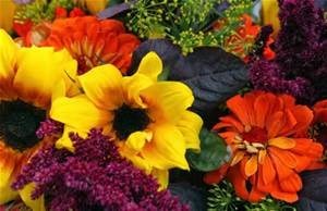 Obituary of Gloria Ann Laney