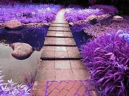 Obituario de Joan Gwinn Daniels Sweeney