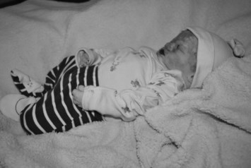 Obituary of Zane Alexander Ludwig