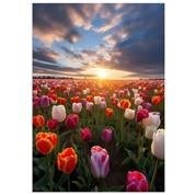 Obituary of Jack Randall Welsh