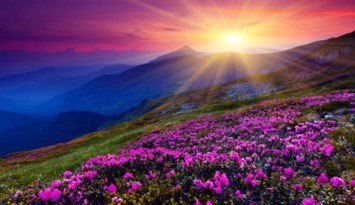 Obituary of Waltraud Lydia Weidhaas