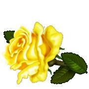 Obituary of Robert Rosenau