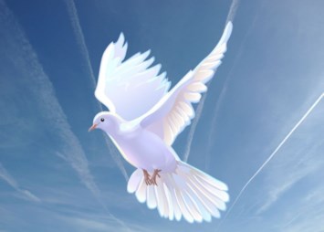 Obituary of Ray Hosea Campbell