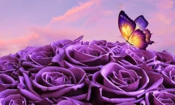 Avis de décès de Desiree Marie Quick