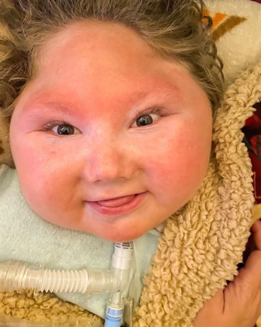 Obituary of Stetson James Wasden