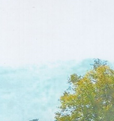 Randall Reeves Obituary - Ellenton, FL