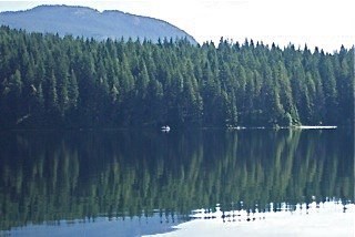 Obituary of Donald Raymond WALES