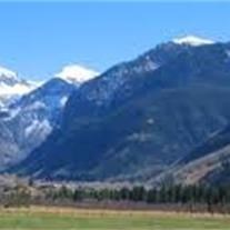 Obituary of Carla M. Martin