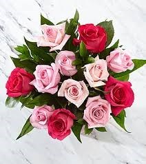 Obituary of Mary Ann Randolph