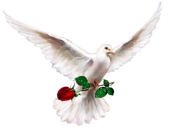 Obituary of Myrna Cristina Molina