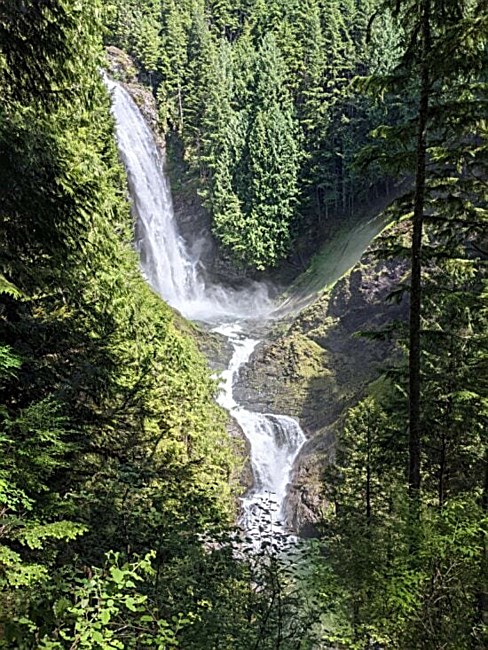 Obituary of Richard Miles Reese