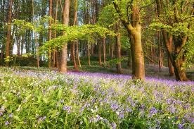 Obituary of Louis Itkin