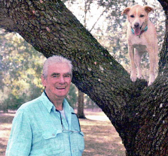 Obituary of David Ross Golden