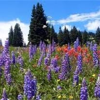 Obituary of Gary Gilbert Blanchard